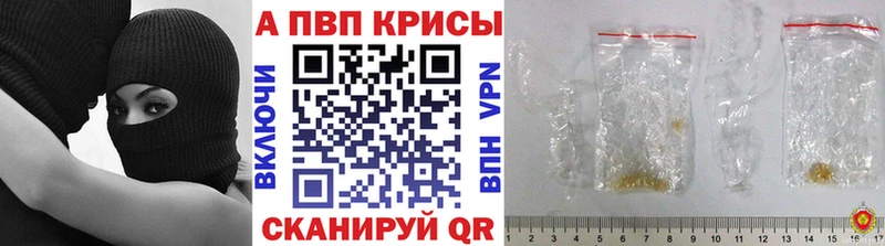 блэк спрут как войти Саров А ПВП СК КРИС