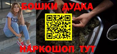 индика Нальчик